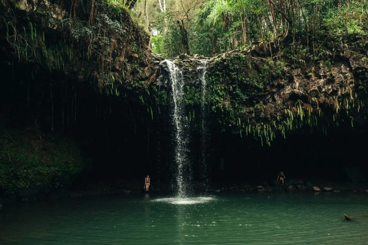 Admiring the beautiness of the cenotes in the riviera maya