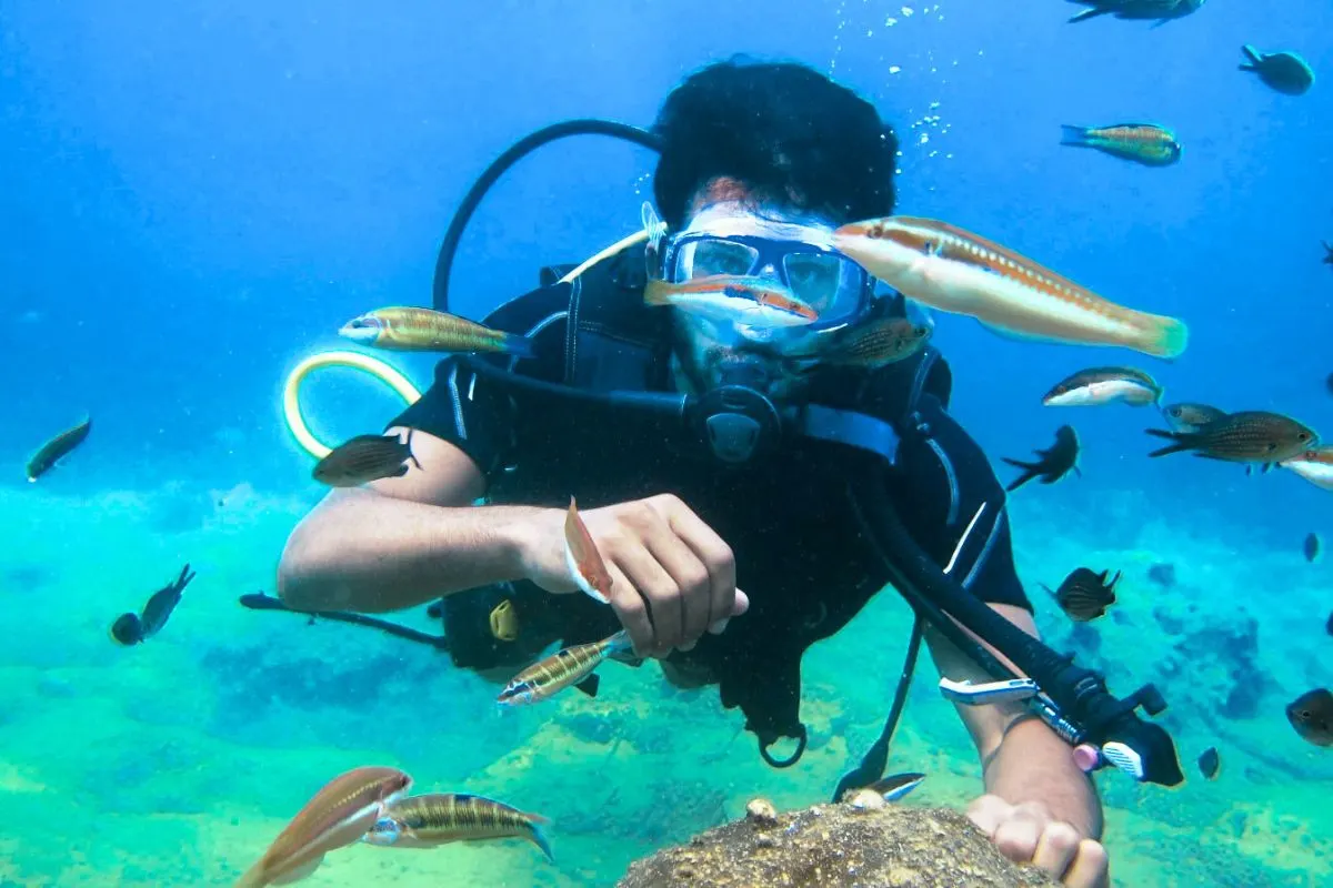 Man, diving in the mesoamerican reef